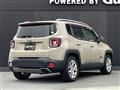 2017 Chrysler Renegade
