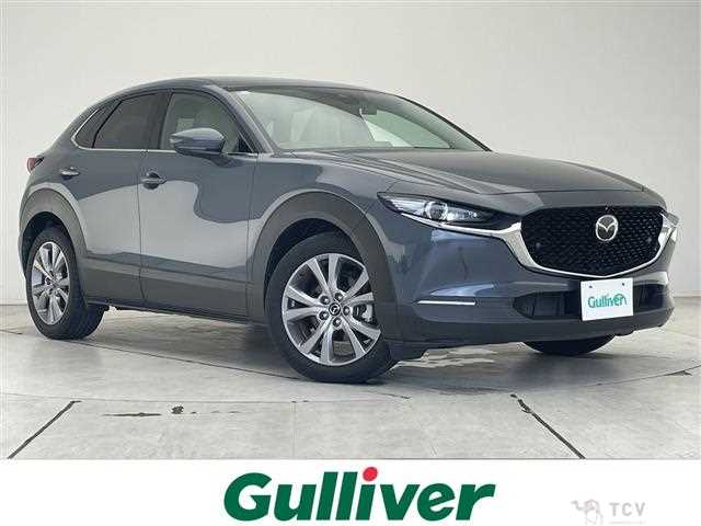 2021 Mazda CX-3