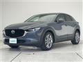 2021 Mazda CX-3