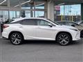 2019 Lexus RX