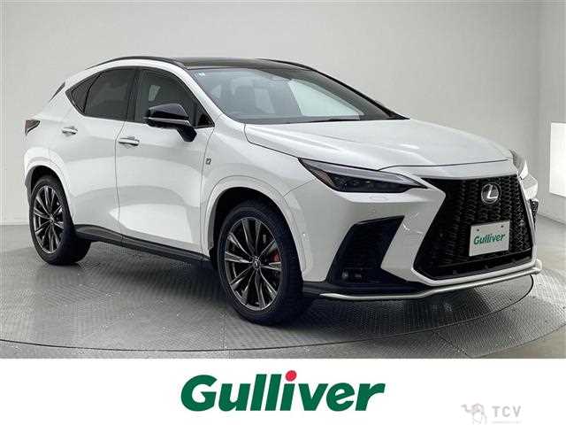 2024 Lexus NX