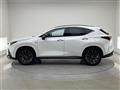 2024 Lexus NX