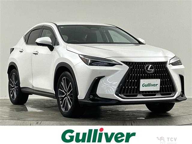 2023 Lexus NX