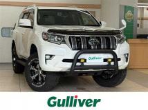 2019 Toyota Land Cruiser Prado