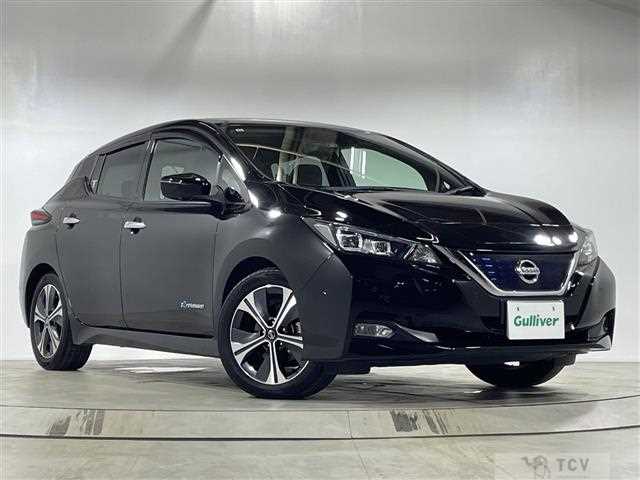 2019 Nissan Leaf