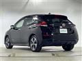 2019 Nissan Leaf