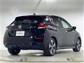 2019 Nissan Leaf