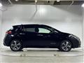 2019 Nissan Leaf