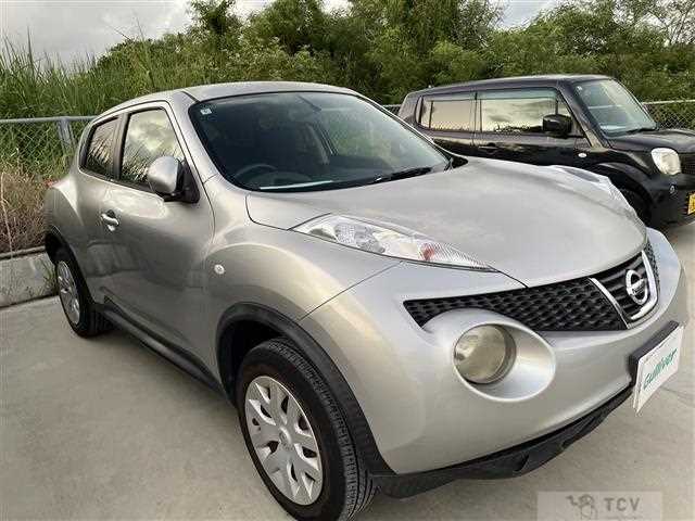 2010 Nissan Juke
