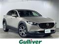 2021 Mazda CX-3