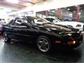 1991 Isuzu Pa Nero