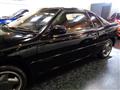 1991 Isuzu Pa Nero