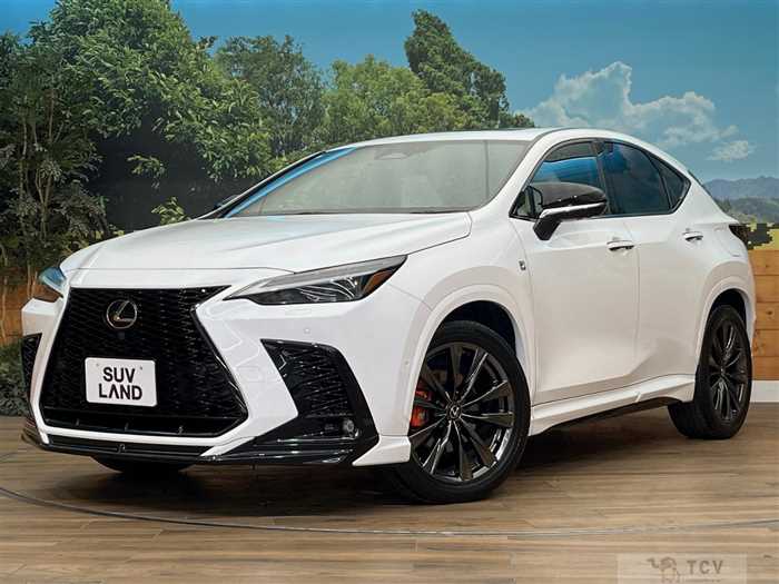 2023 Lexus NX