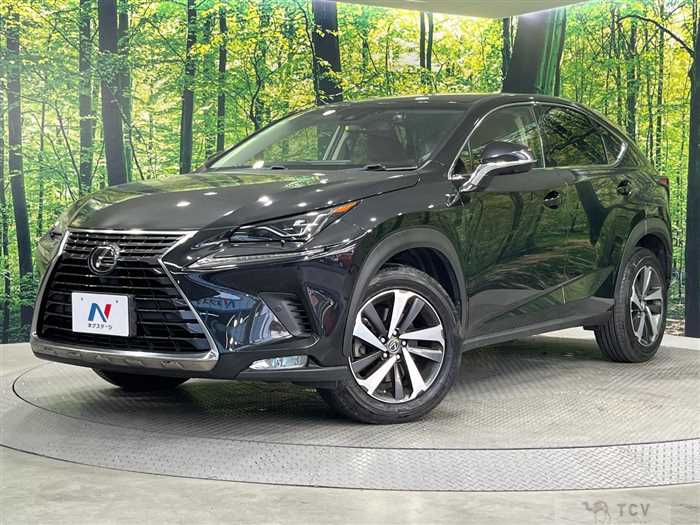 2018 Lexus NX