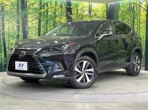 2018 Lexus NX