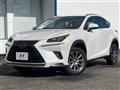 2019 Lexus NX