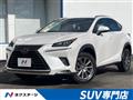 2019 Lexus NX