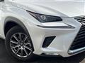 2019 Lexus NX