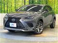 2019 Lexus NX