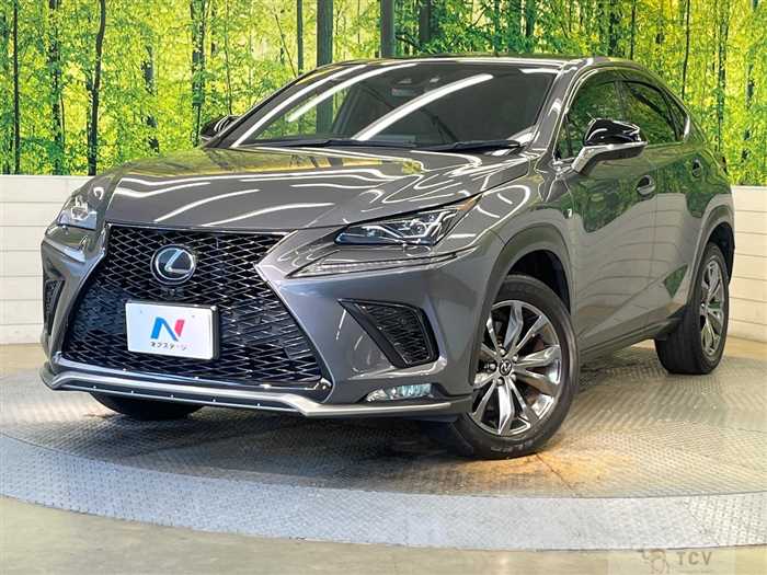 2019 Lexus NX