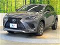 2019 Lexus NX