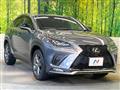 2019 Lexus NX