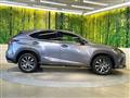 2019 Lexus NX