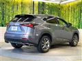2019 Lexus NX