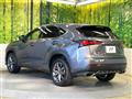 2019 Lexus NX