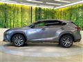 2019 Lexus NX
