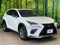 2020 Lexus NX