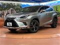 2019 Lexus NX