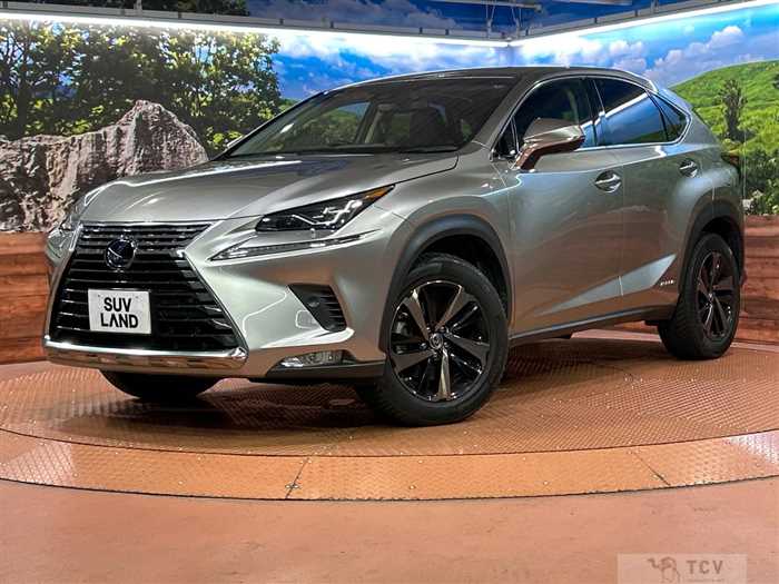 2019 Lexus NX