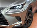 2019 Lexus NX