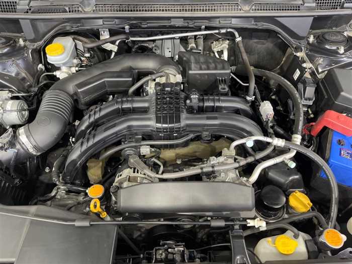 Subaru Pegasus 2017 photo 5