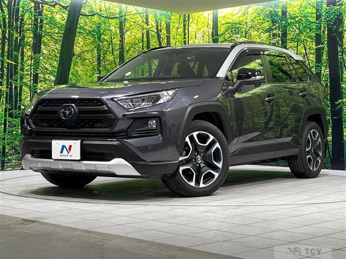 2019 Toyota RAV4