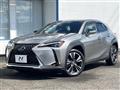 2019 Lexus Other