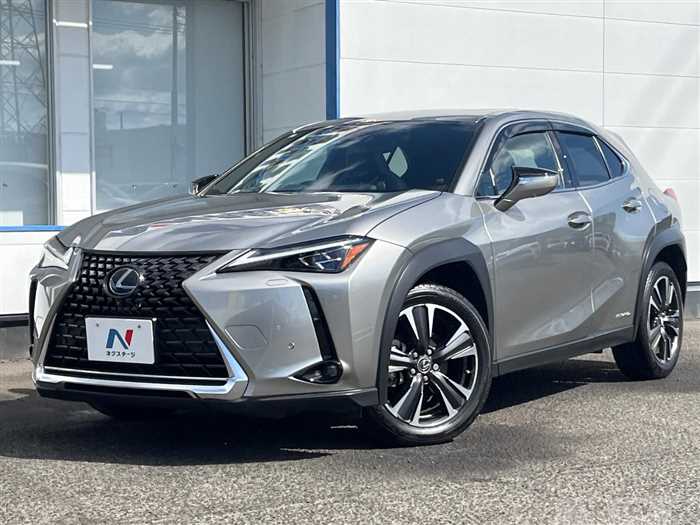 2019 Lexus Other