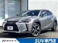 2019 Lexus Other