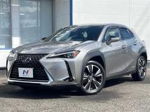 2019 Lexus Other