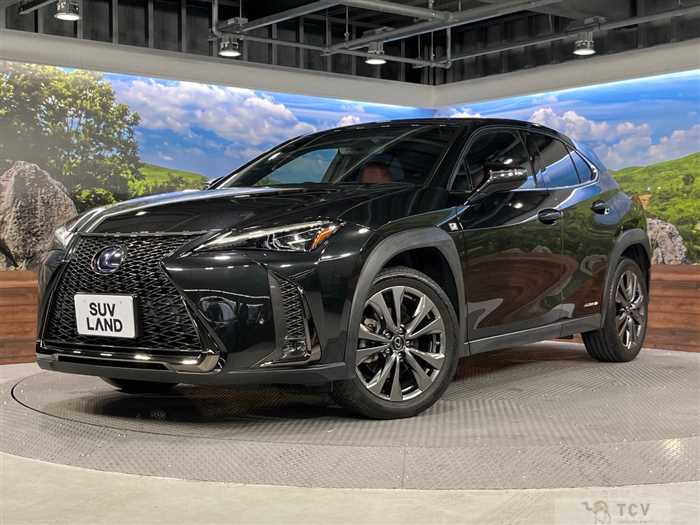 2020 Lexus Other
