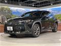 2020 Lexus Other