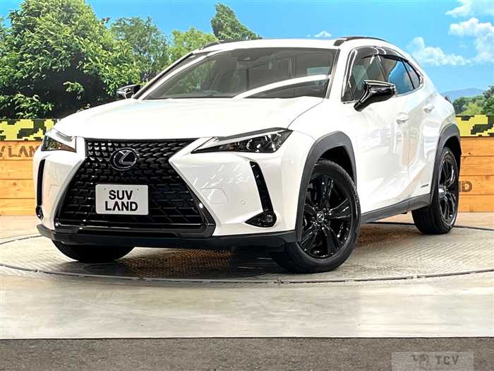 2020 Lexus Other