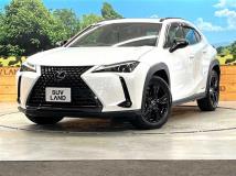 2020 Lexus Other
