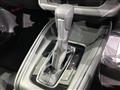 2025 Honda VEZEL
