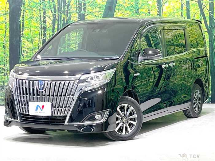 2019 Toyota Esquire