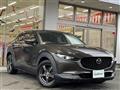 2019 Mazda CX-3