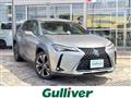 2019 Lexus UX
