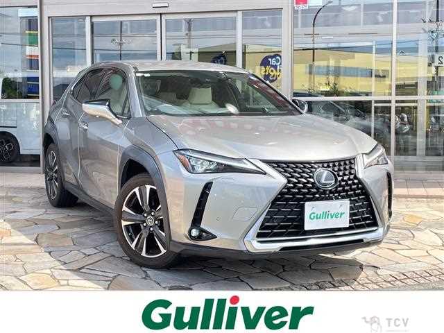 2019 Lexus UX