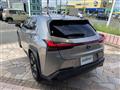 2019 Lexus UX